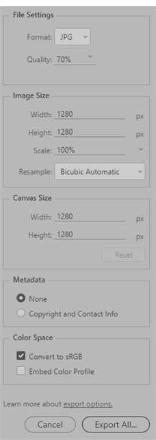 Photoshop Image and Metadata settings