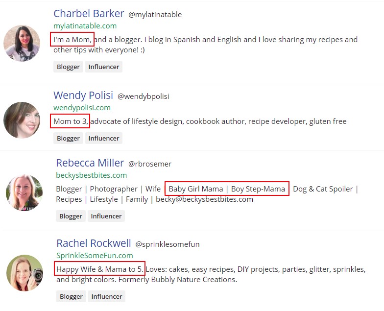 Target Audience Example Target Audience Example