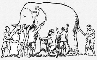 Image of an elephant with multiple people focusing on different parts instead of the whole